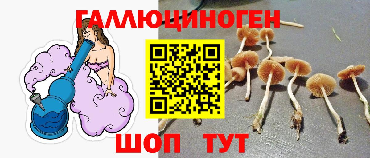 Псилоцибиновые грибы ЛСД Югорск