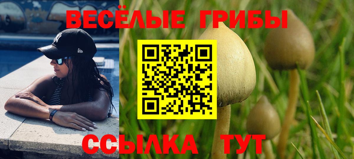 Югорск  Галлюциногенные грибы мицелий  продажа наркотиков  Вход с VPN 